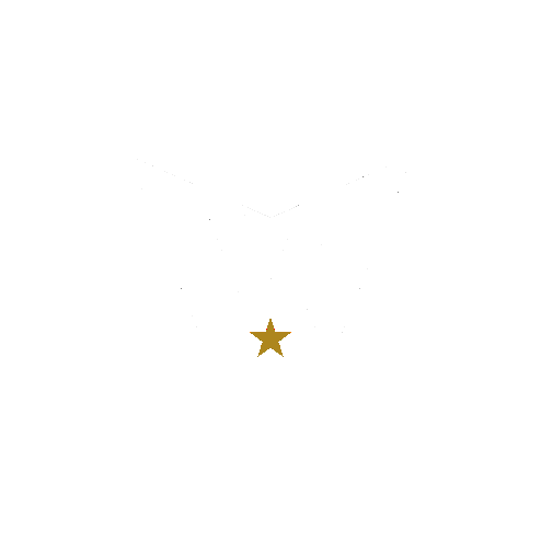 Wafa Brand